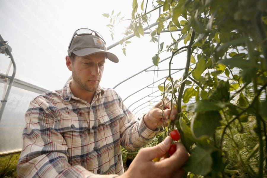 Chris, lead farmer and formulator