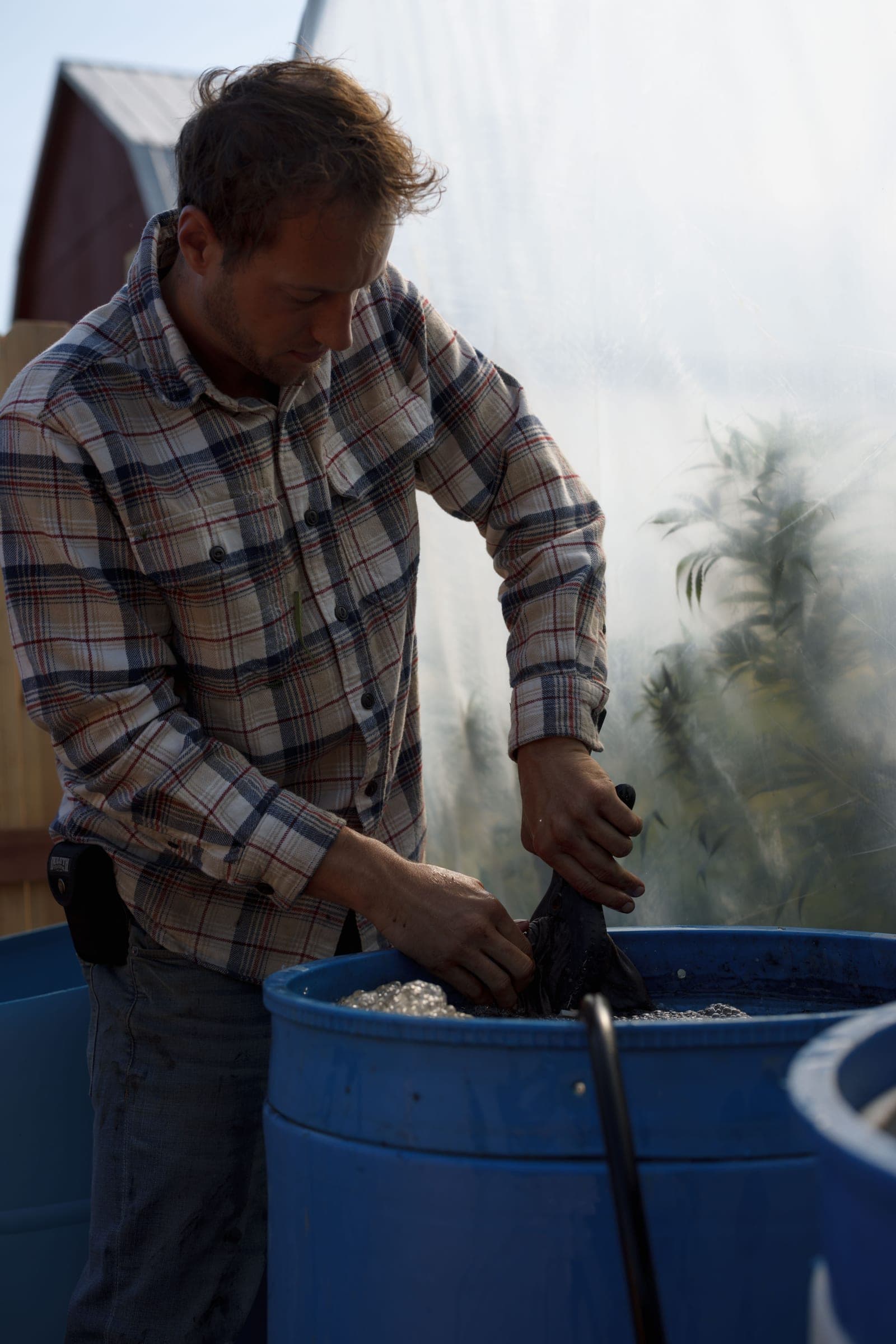 Why the soil your herbs are grown in determines how well they work